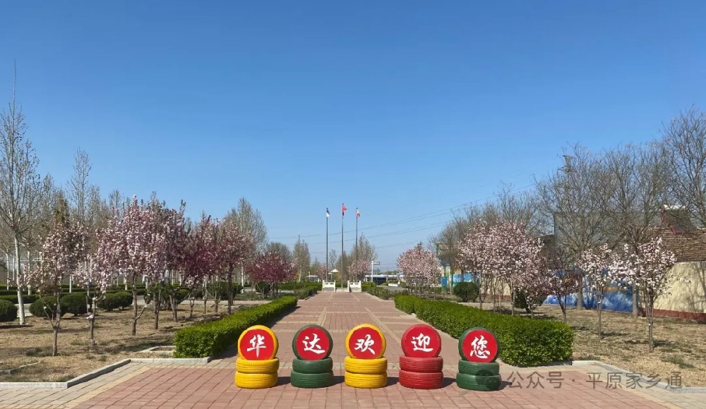 华达驾校：藏在绿意里的驾驶课堂